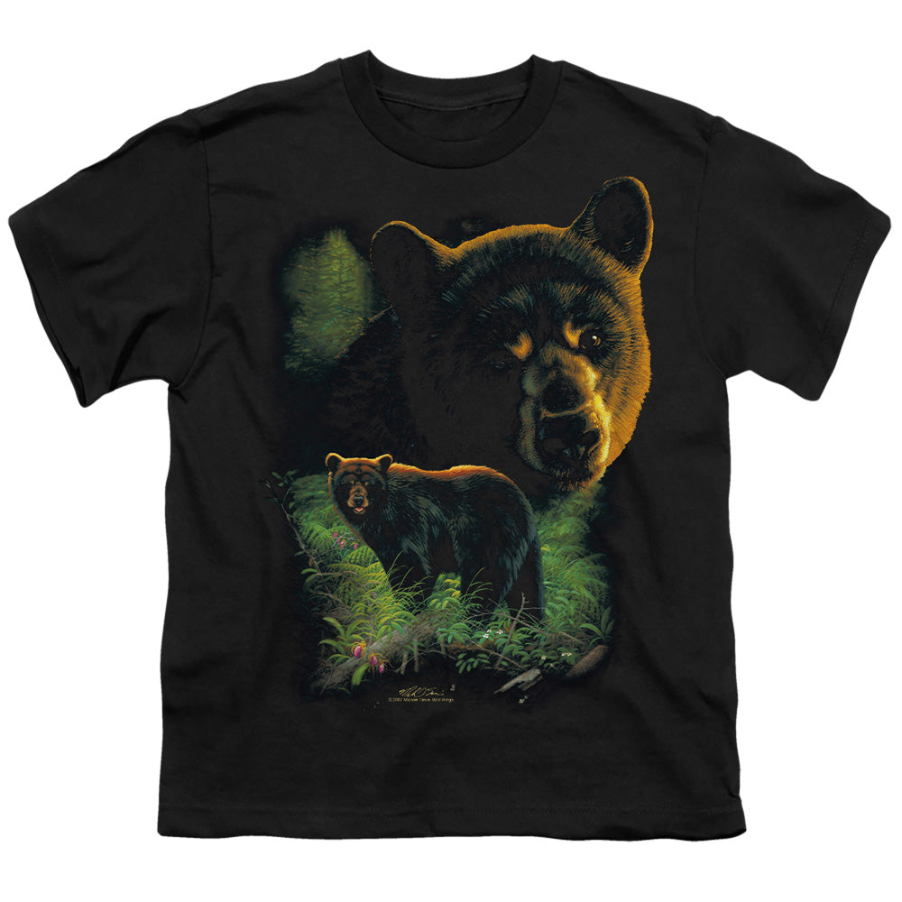 WILDLIFE/BLACK BEARS