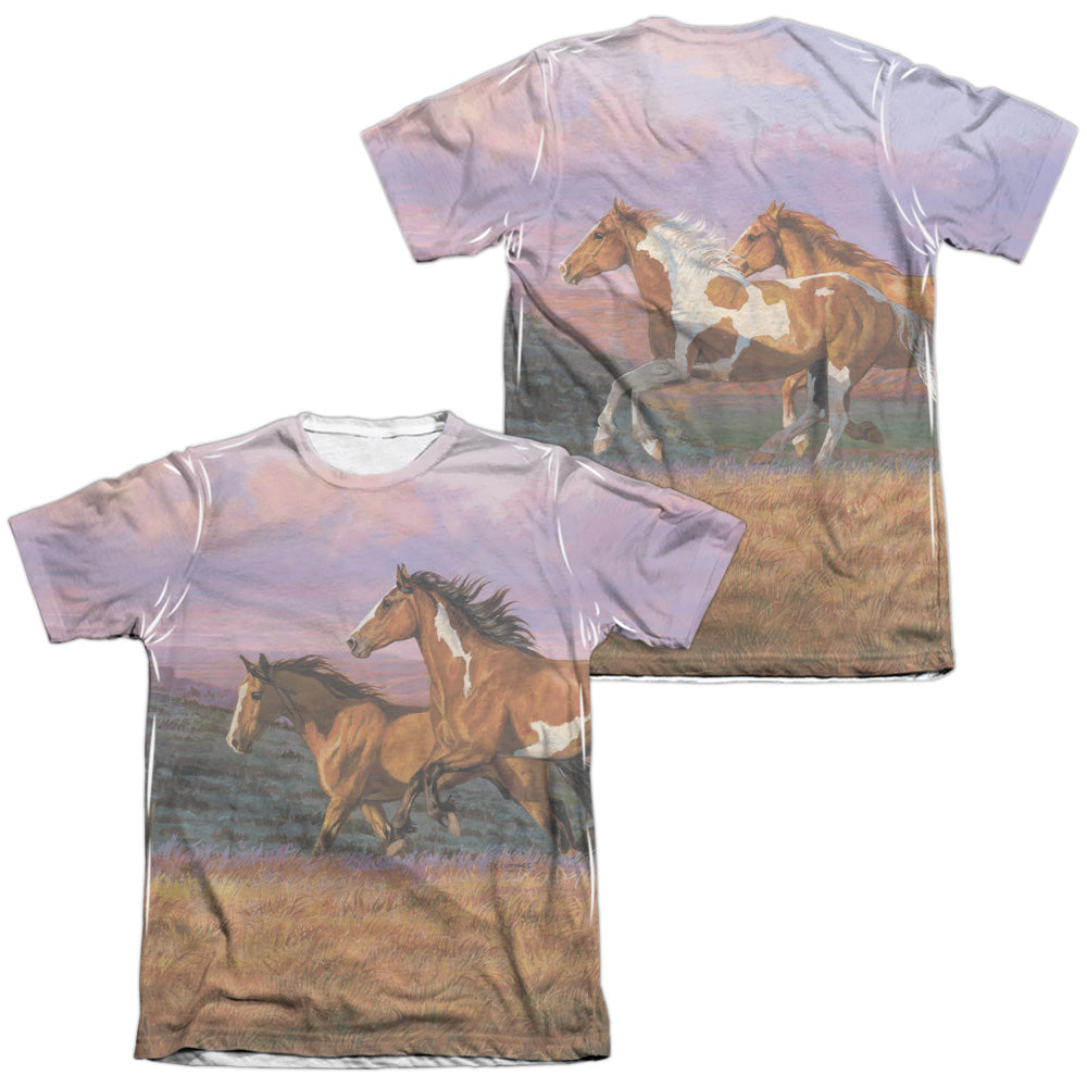 WILD WINGS/SUNSET CRUISE (FRONT/BACK PRINT)