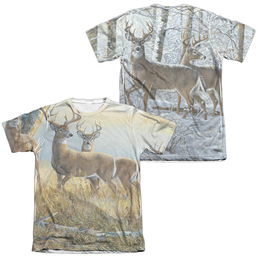 WILD WINGS/WARM AND COLD