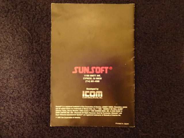 Road Runner's Death Valley Rally