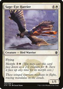 Sage-Eye Harrier - Magic The Gathering - Khans of Tarkir