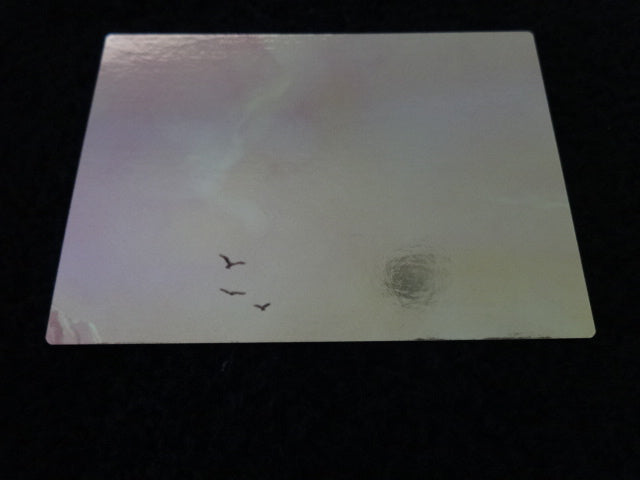 Temple Of Time Enterplay 2016 Legend Of Zelda Collectable Trading Card Number 108