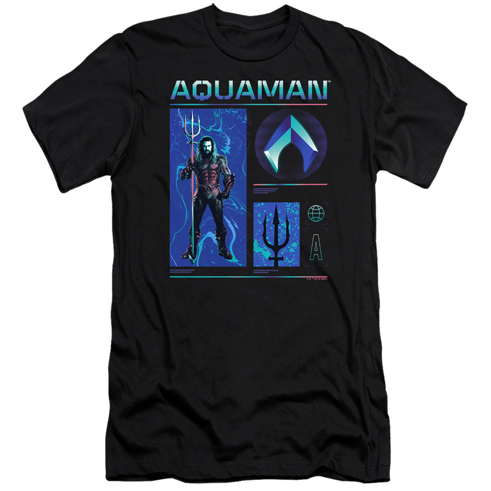 AQUAMAN AND THE LOST KINGDOM/AQUAMAN STATS