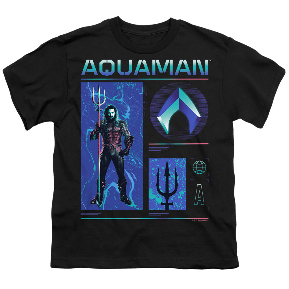AQUAMAN AND THE LOST KINGDOM/AQUAMAN STATS