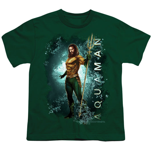 AQUAMAN MOVIE/MARINE LIFE