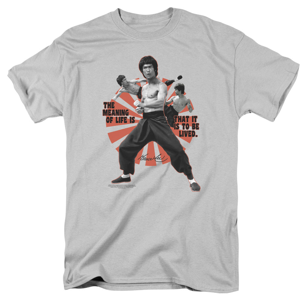 BRUCE LEE/MEANING OF LIFE