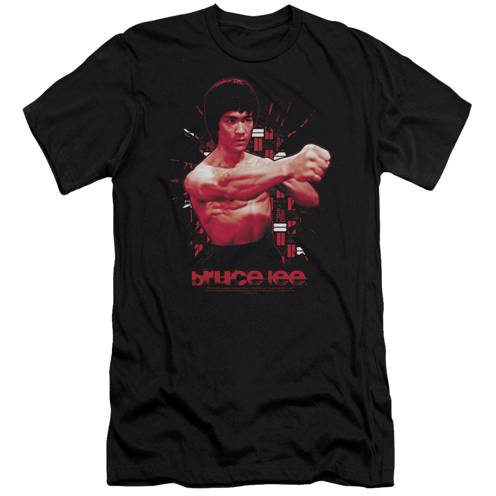 BRUCE LEE/THE SHATTERING FIST