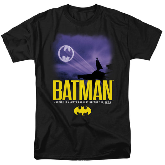 Bat Signal In The Sky