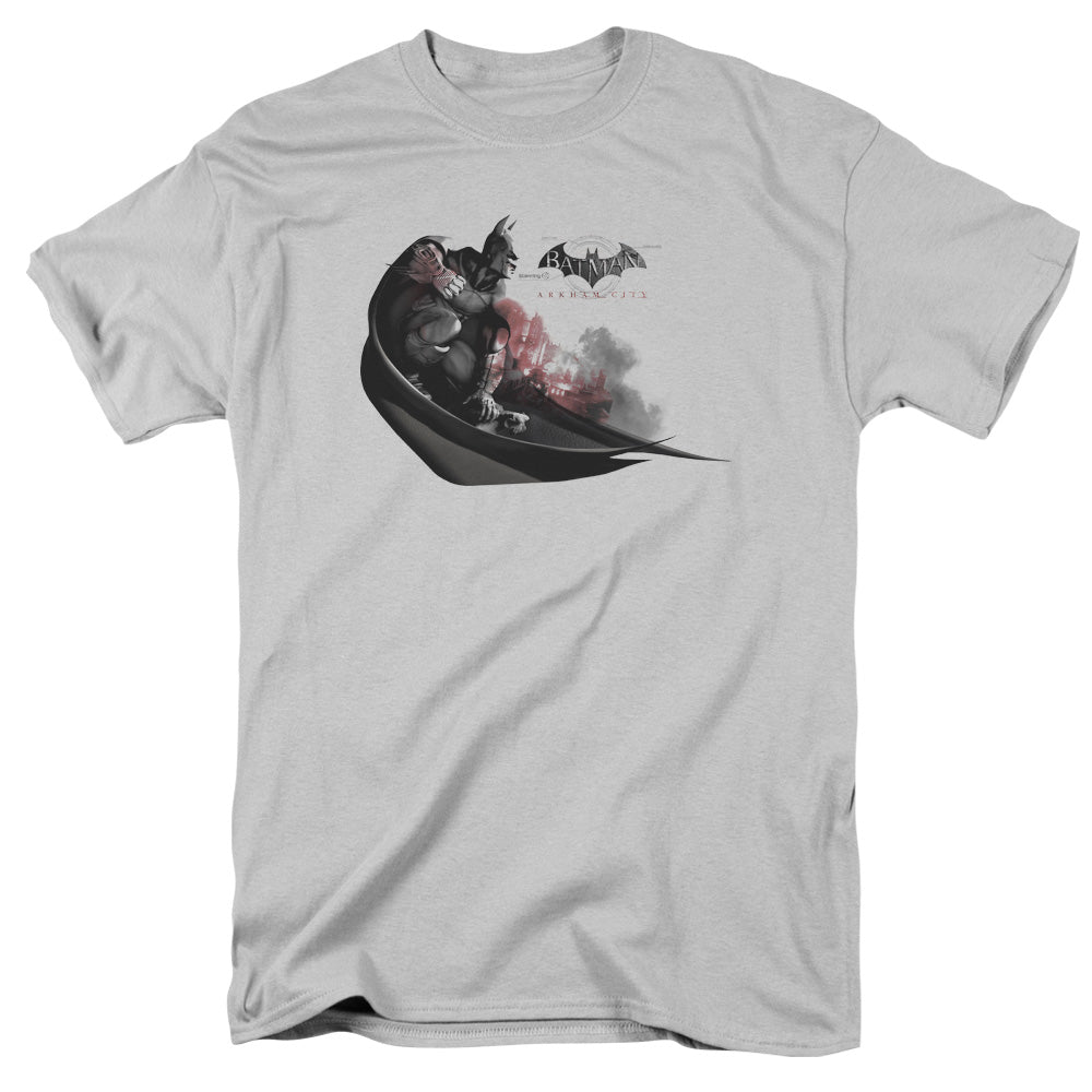 ARKHAM CITY/READY TO POUNCE