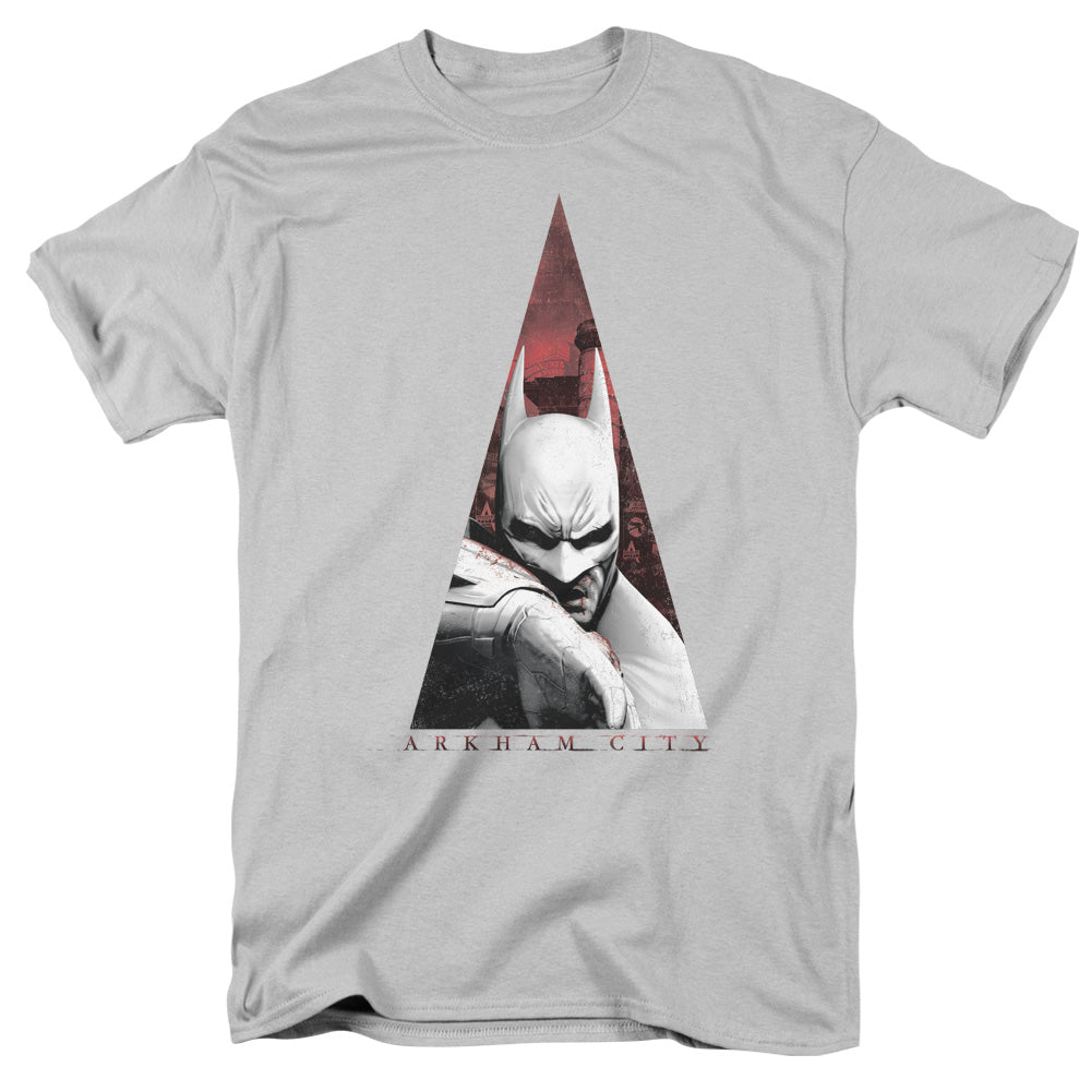 ARKHAM CITY/BAT TRIANGLE