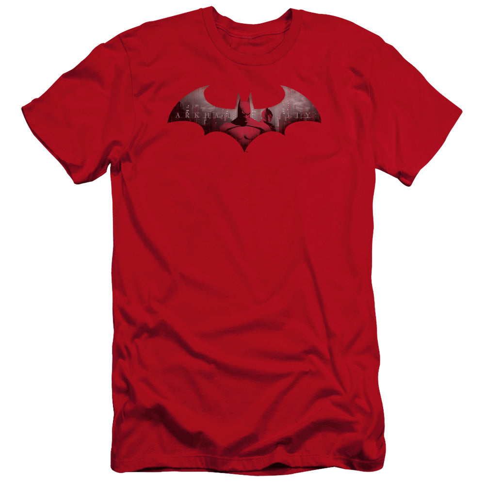 ARKHAM CITY/IN THE CITY