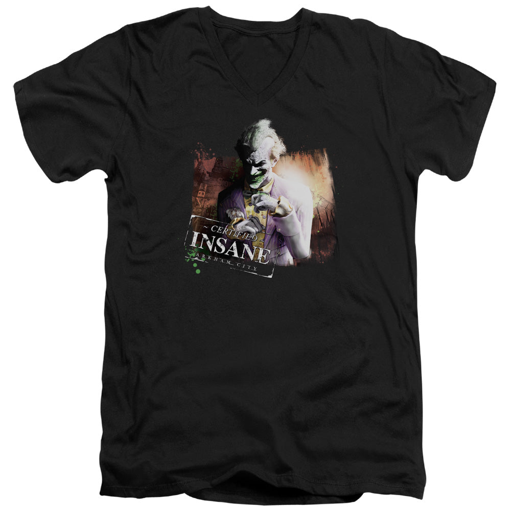 ARKHAM CITY/CERTIFIED INSANE