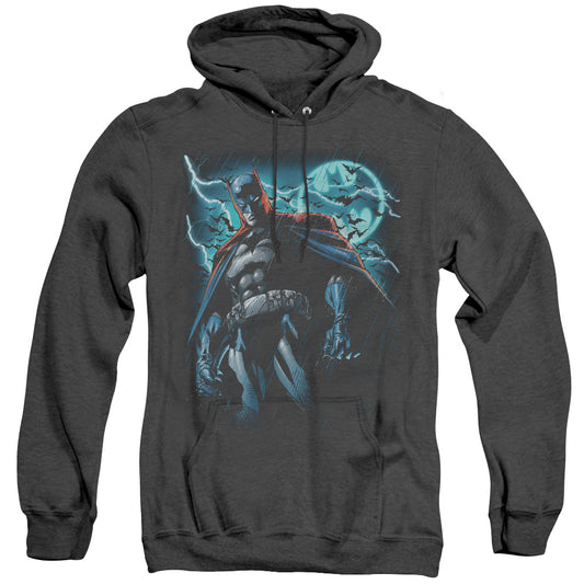 Stormy Knight