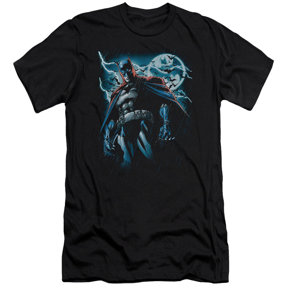 Stormy Knight