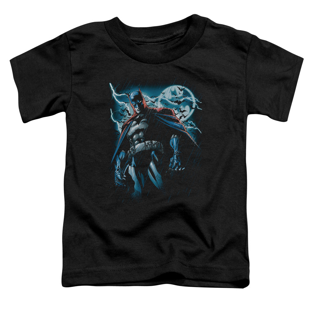 Stormy Knight