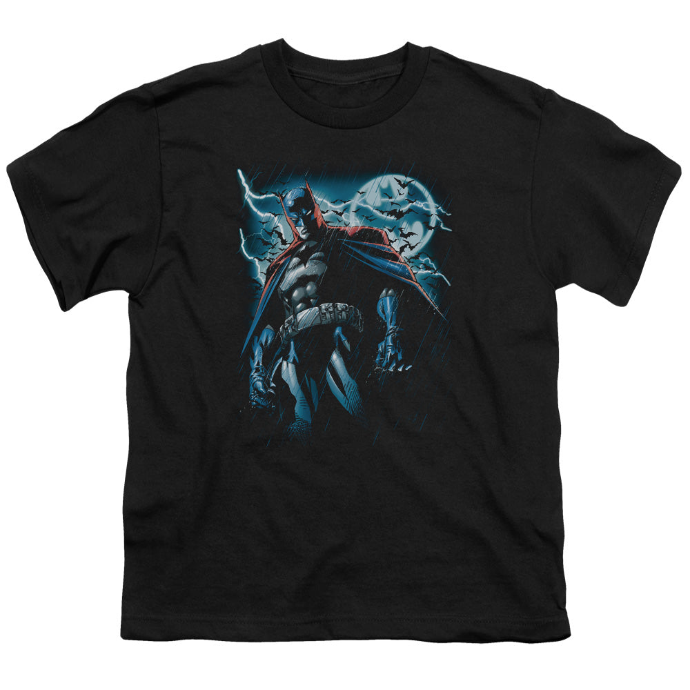 Stormy Knight