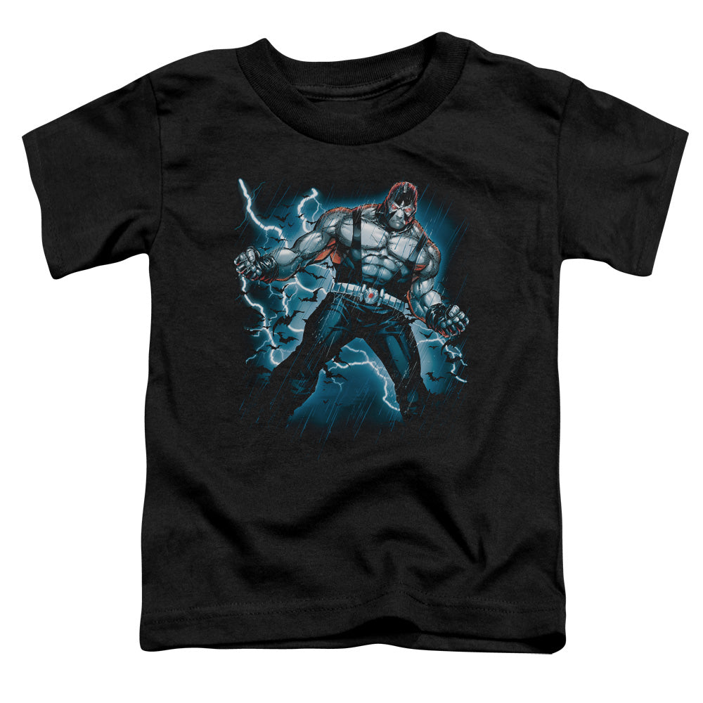 Stormy Bane