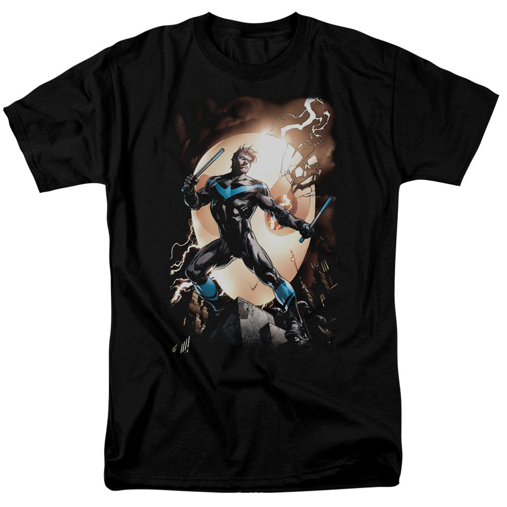 Nightwing Against Owls