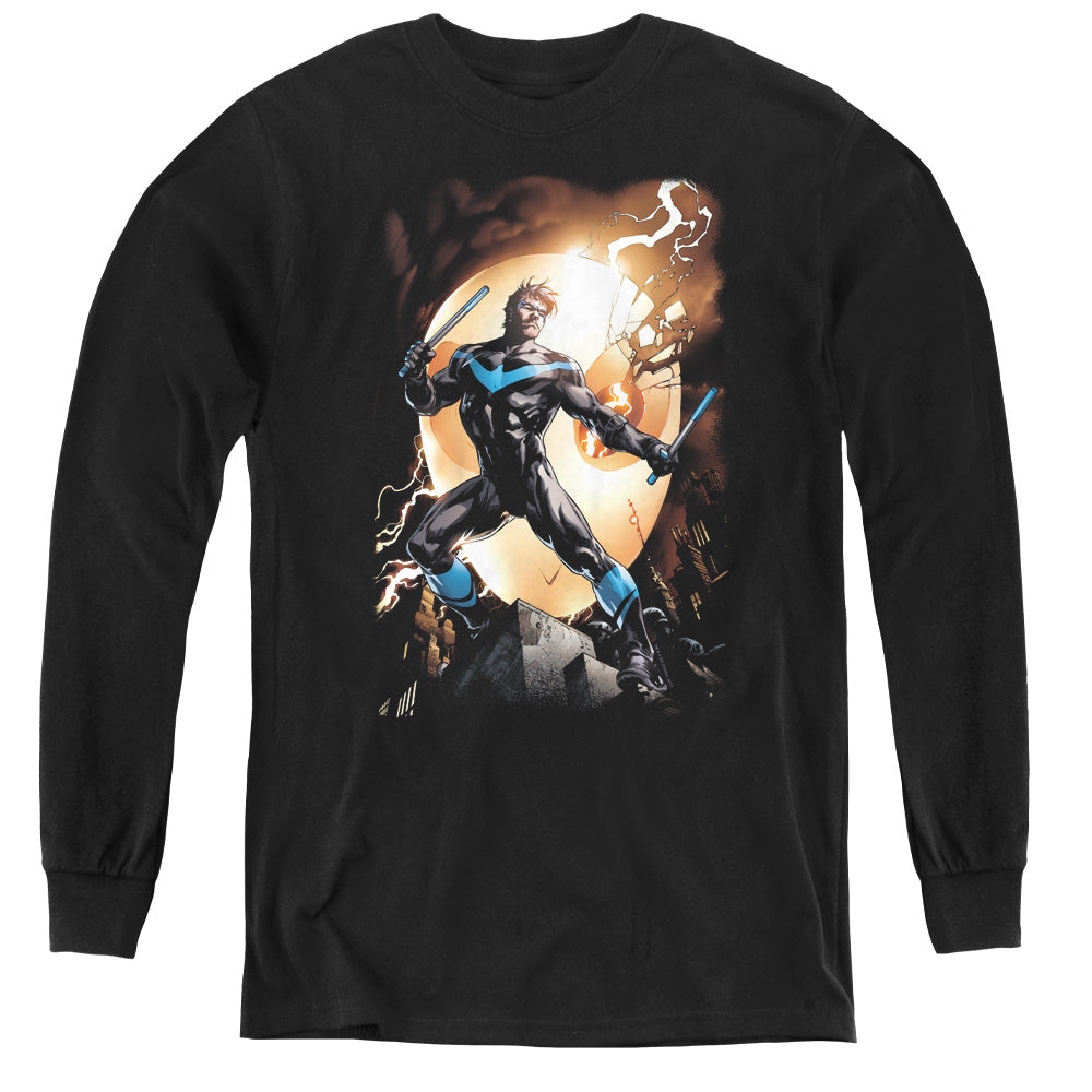 Nightwing Against Owls