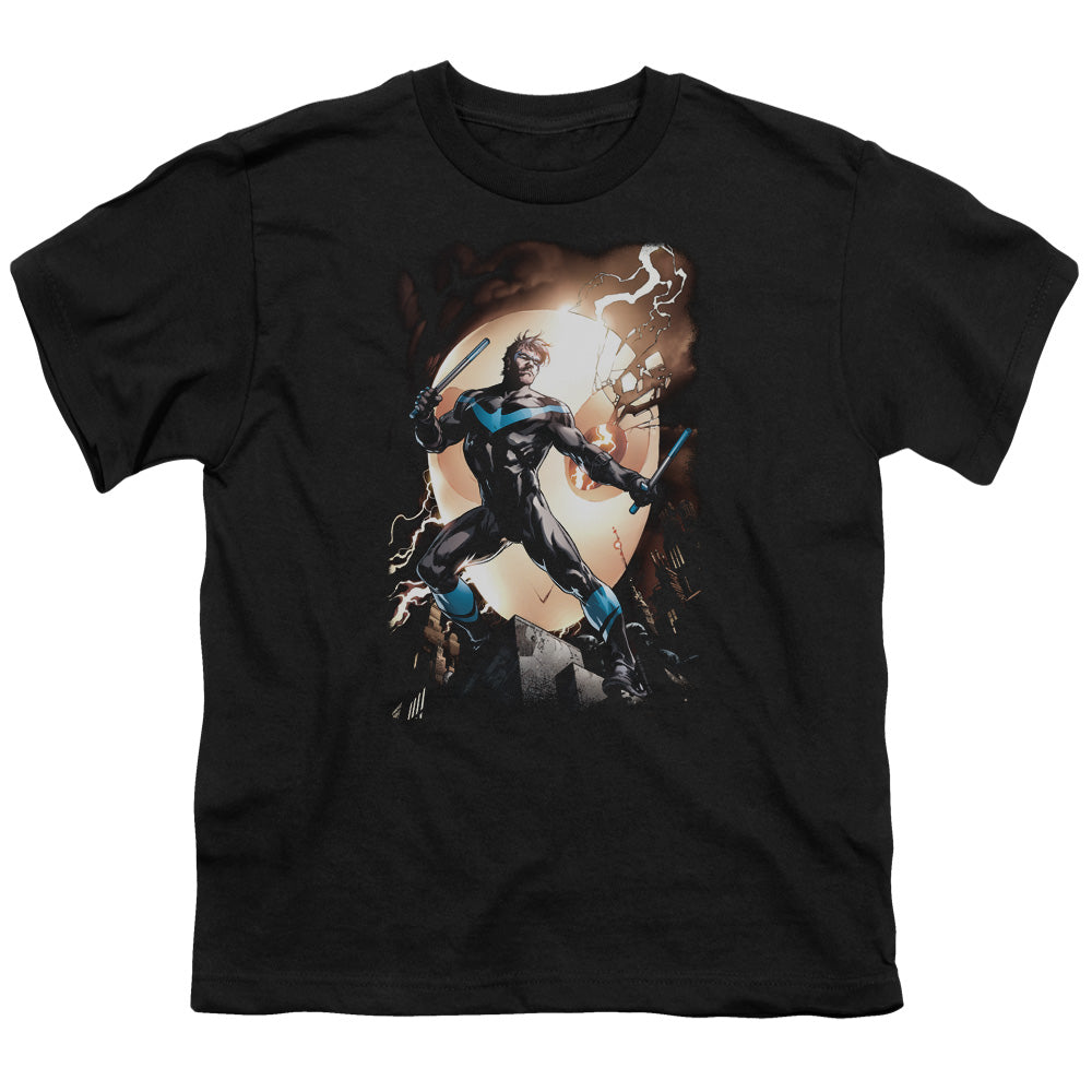 Nightwing Against Owls