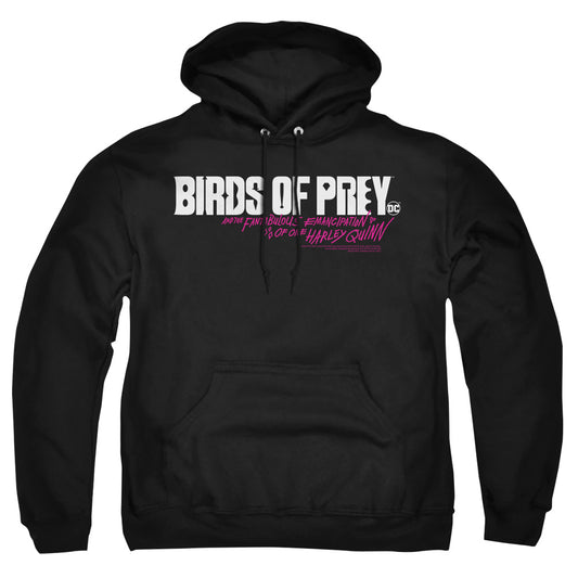 BIRDS OF PREY/HORIZONTAL LOGO