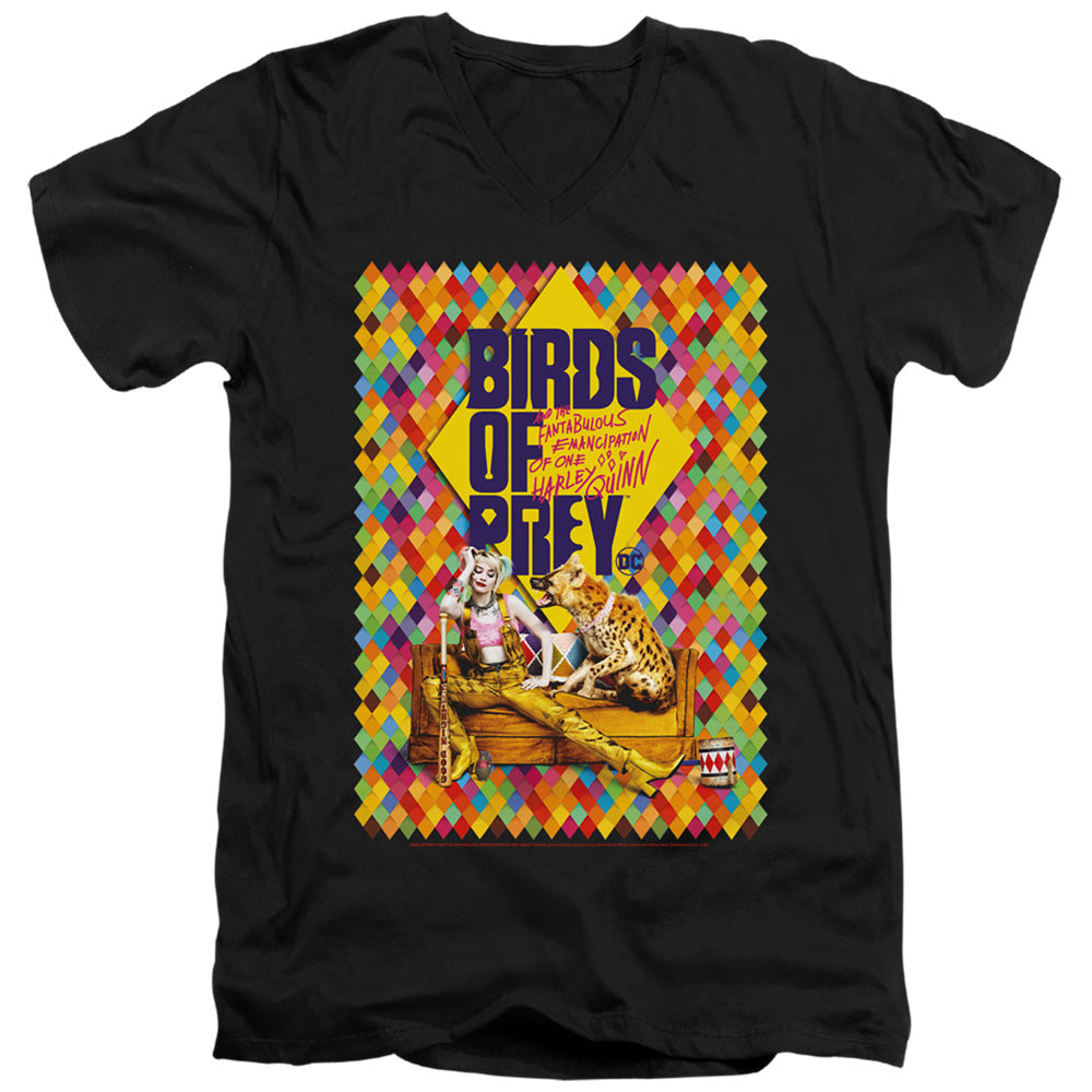 BIRDS OF PREY/COUCH