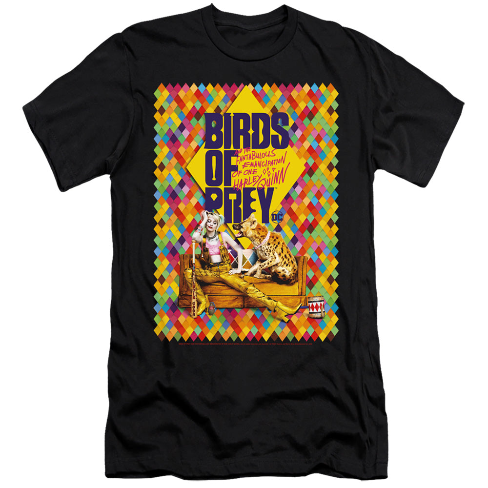 BIRDS OF PREY/COUCH
