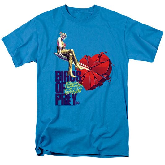 BIRDS OF PREY/HEART