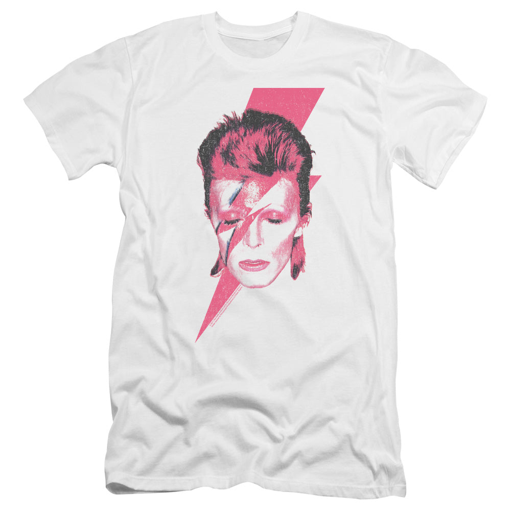 DAVID BOWIE/ALADDIN SANE