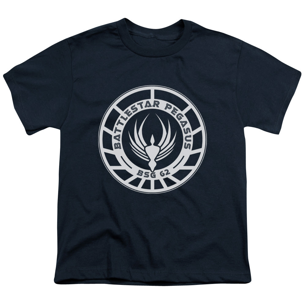 BSG/PEGASUS BADGE