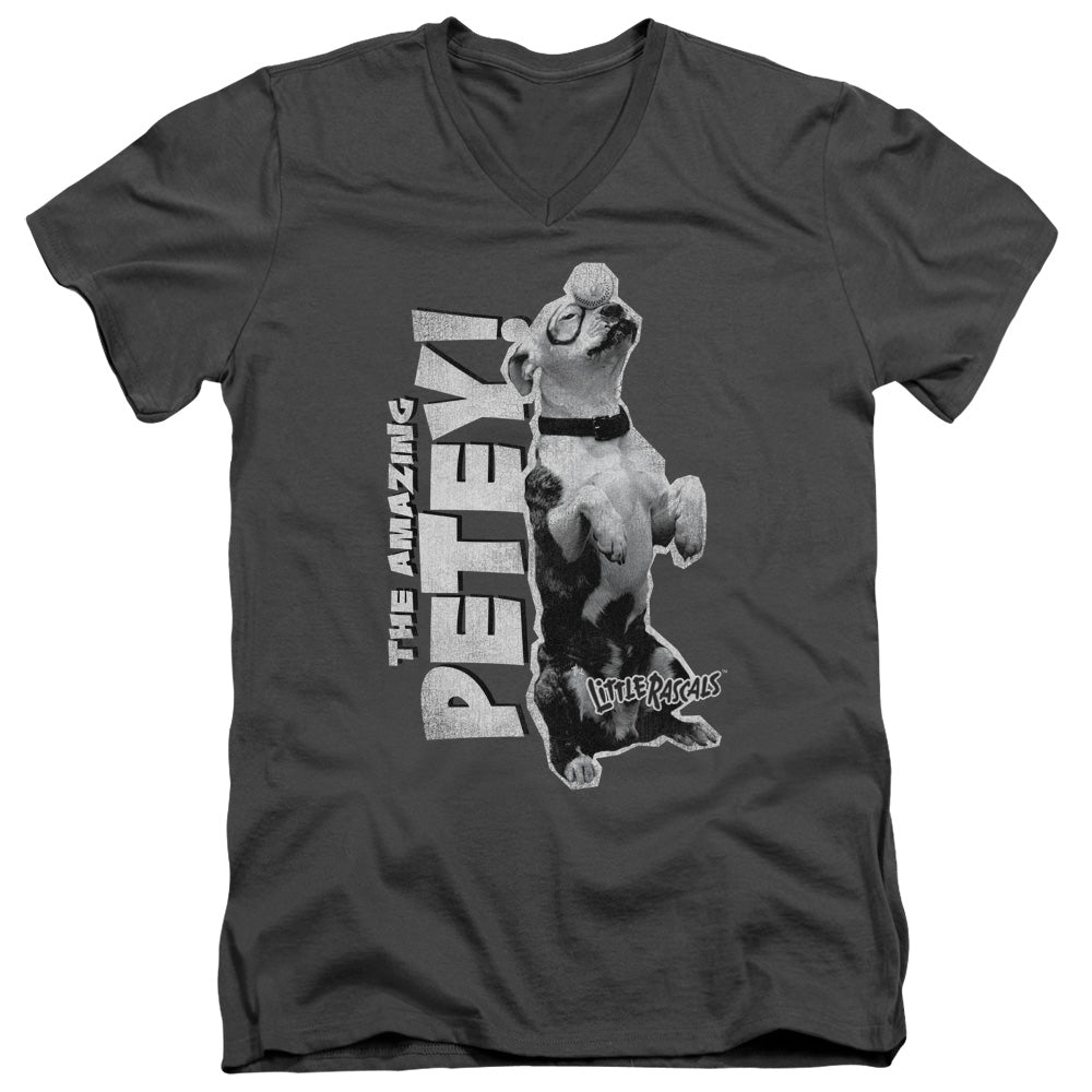 LITTLE RASCALS/AMAZING PETEY