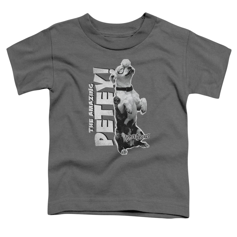 LITTLE RASCALS/AMAZING PETEY