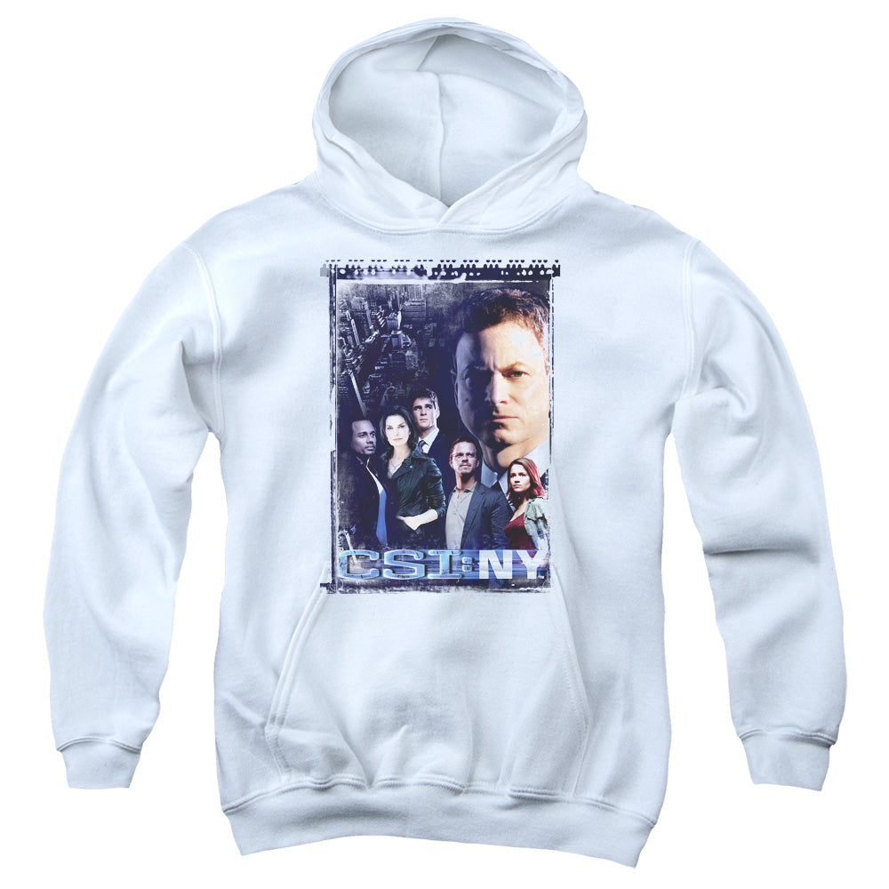 CSI NY/WATCHFUL EYE
