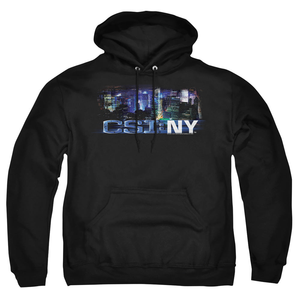 CSI NY/NEVER RESTS