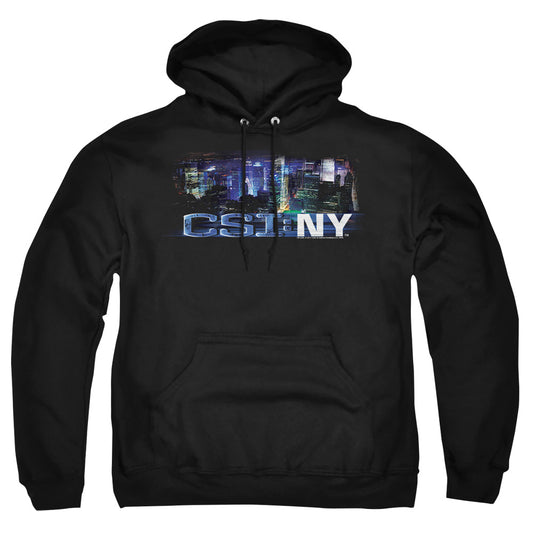 CSI NY/NEVER RESTS