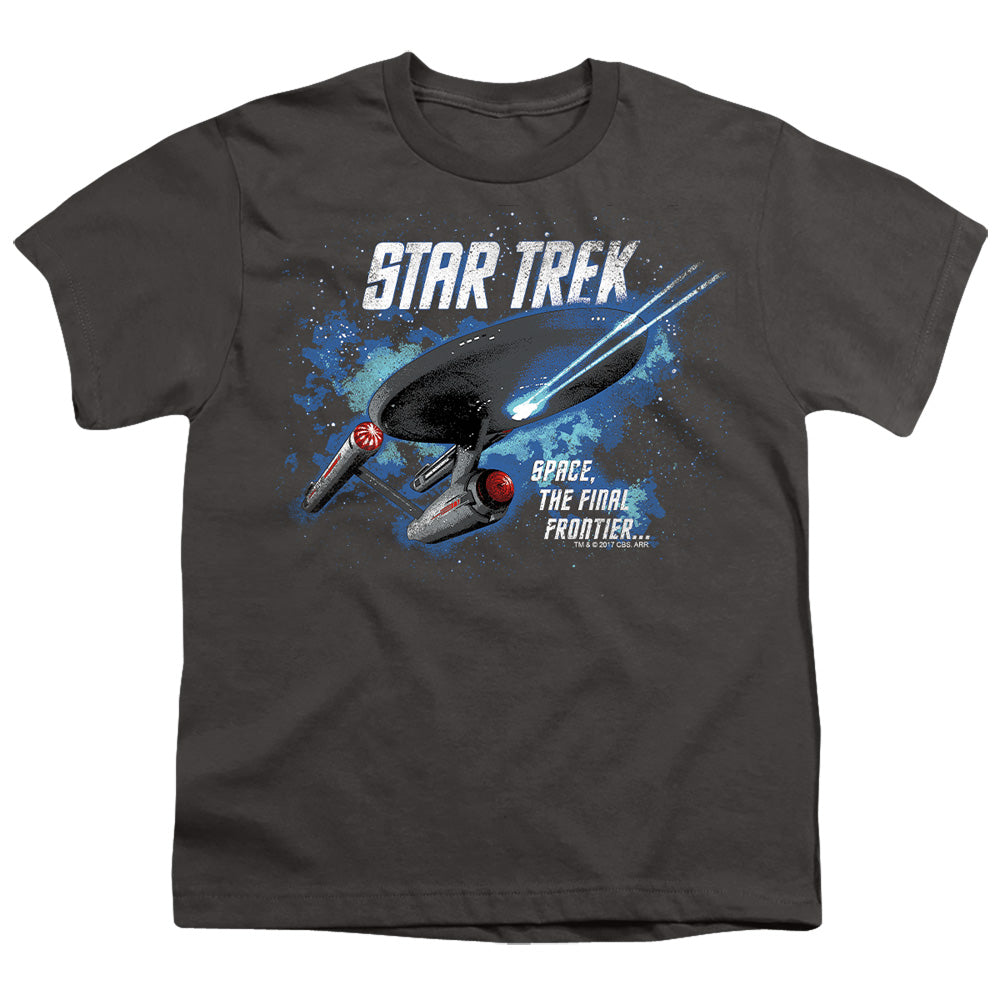 STAR TREK/THE FINAL FRONTIER