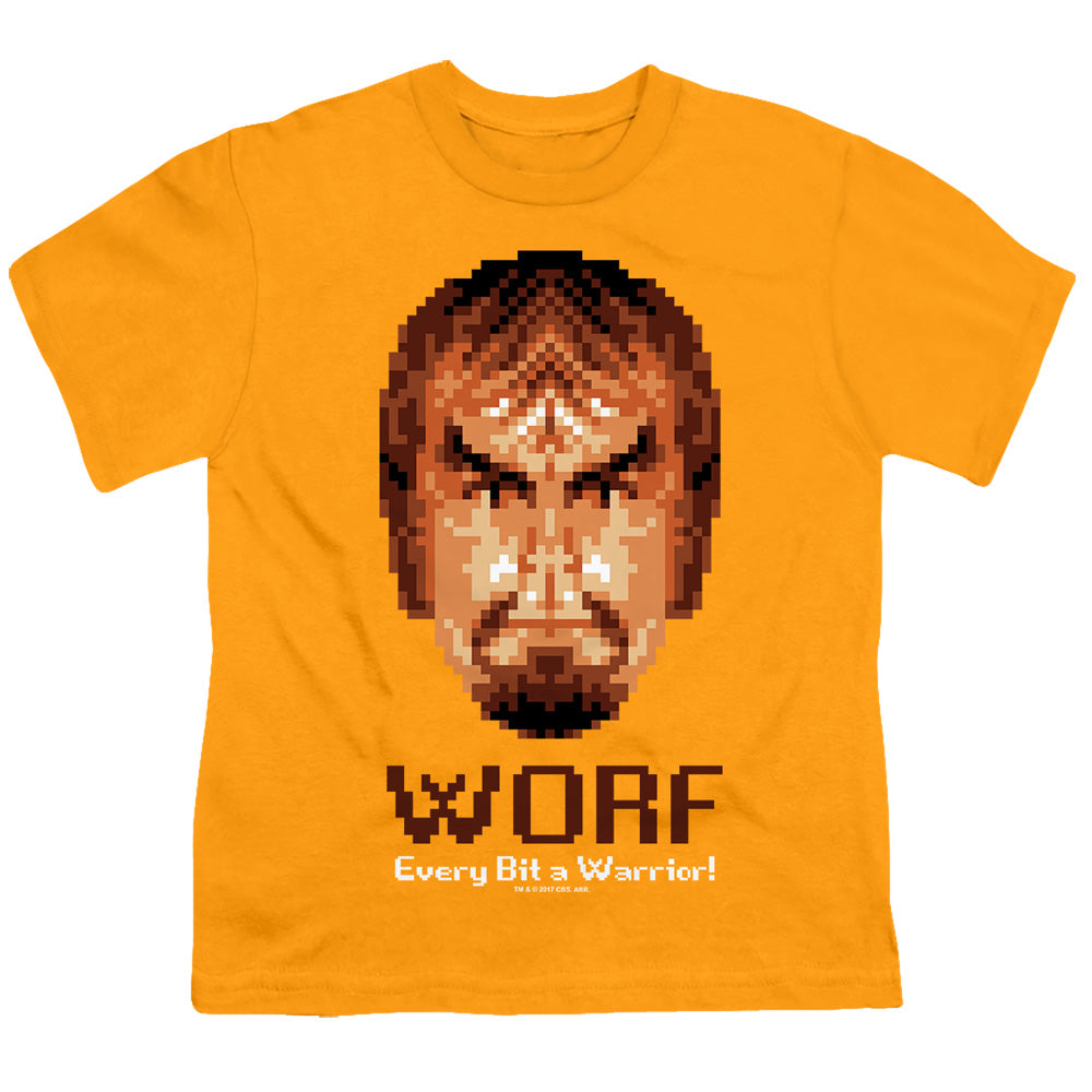 STAR TREK/BIT WARRIOR