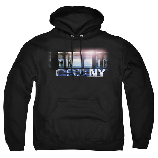 CSI/NEW YORK SUBWAY