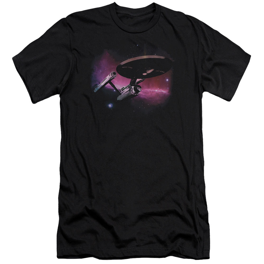 STAR TREK/PRIME DIRECTIVE