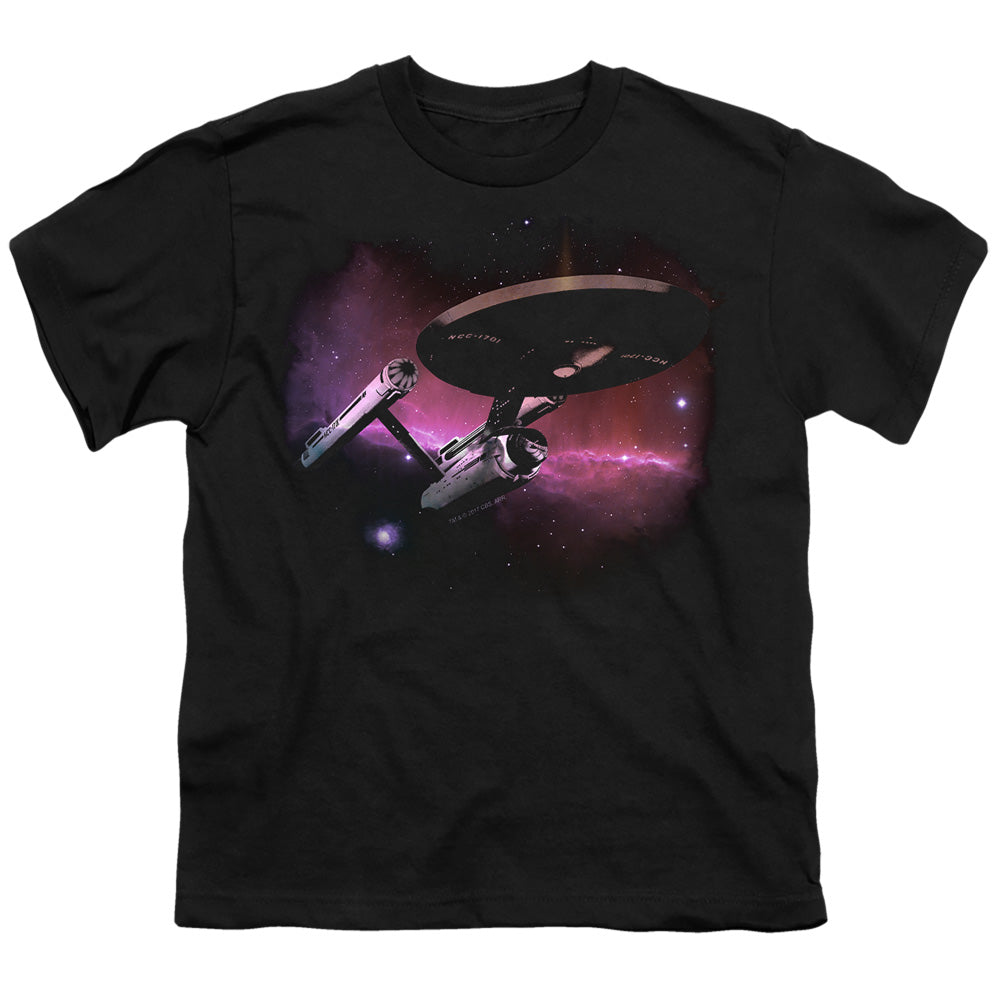 STAR TREK/PRIME DIRECTIVE