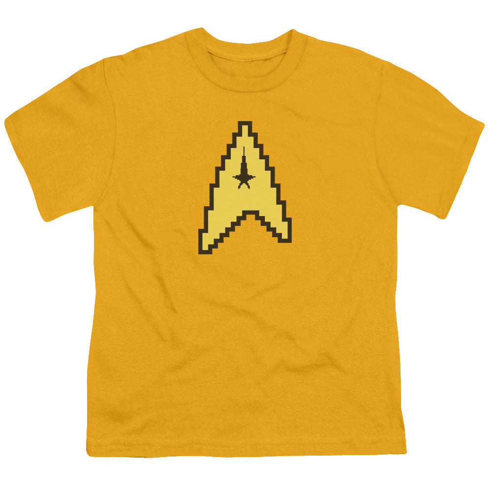 STAR TREK/8 BIT COMMAND