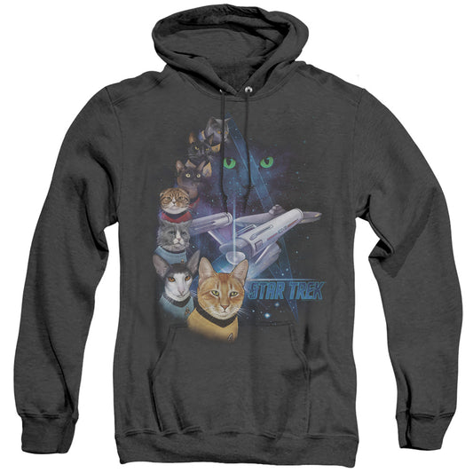 STAR TREK/FELINE GALAXY