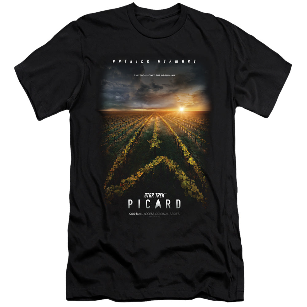 STAR TREK PICARD/PICARD POSTER
