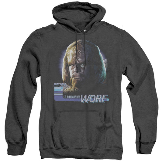 STAR TREK/TNG WORF