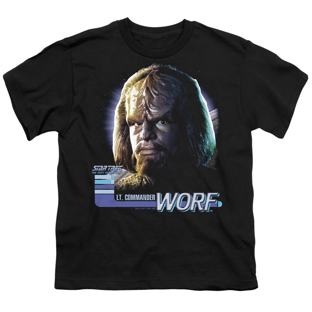 STAR TREK/TNG WORF