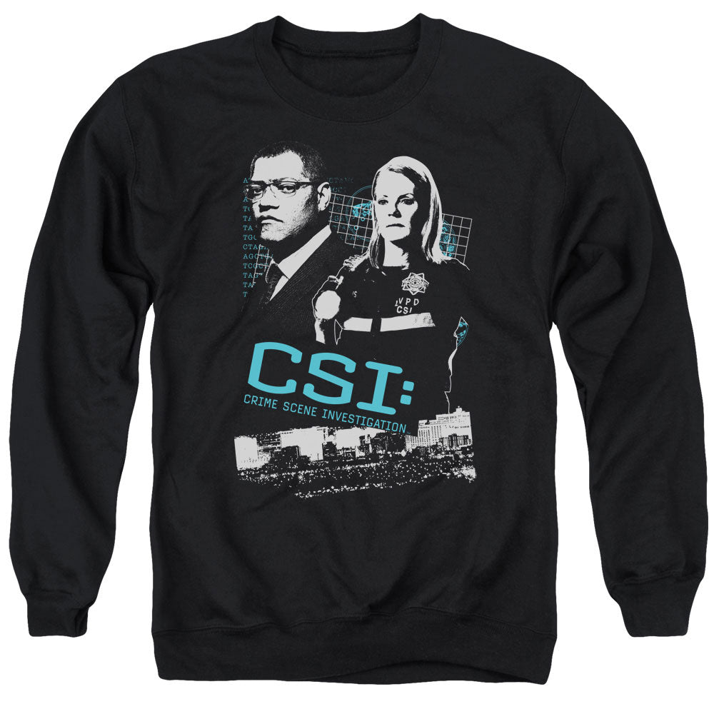 CSI/INVESTIGATE THIS