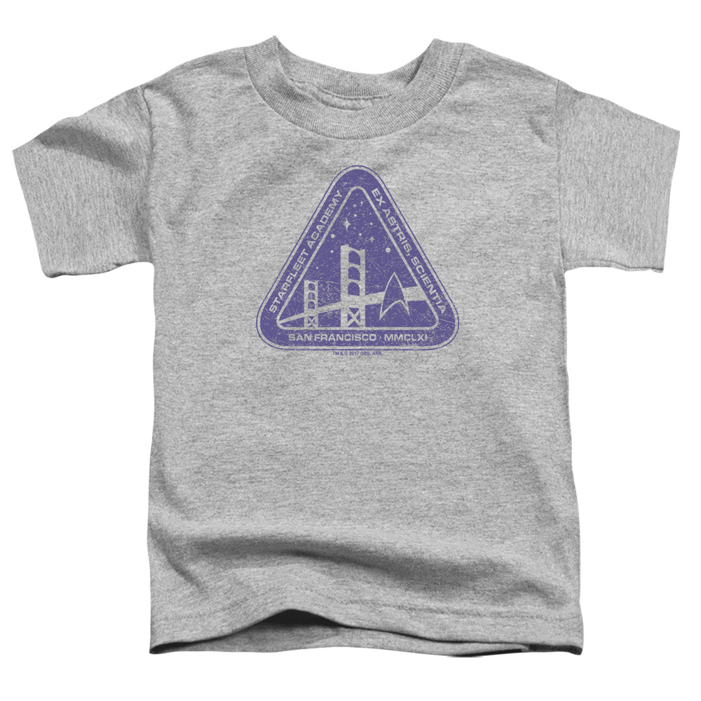 STAR TREK/DISTRESSED LOGO