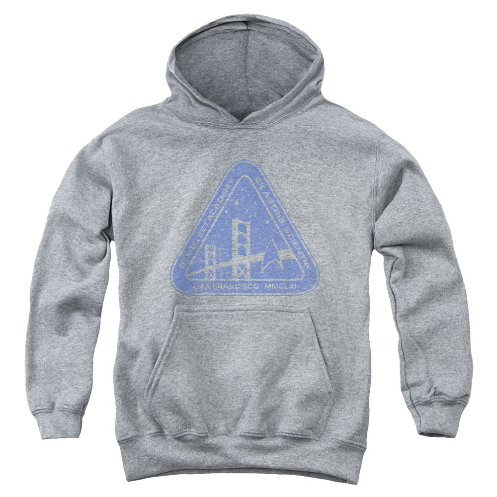 STAR TREK/DISTRESSED LOGO