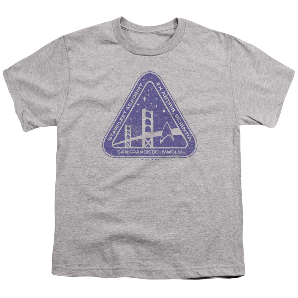STAR TREK/DISTRESSED LOGO