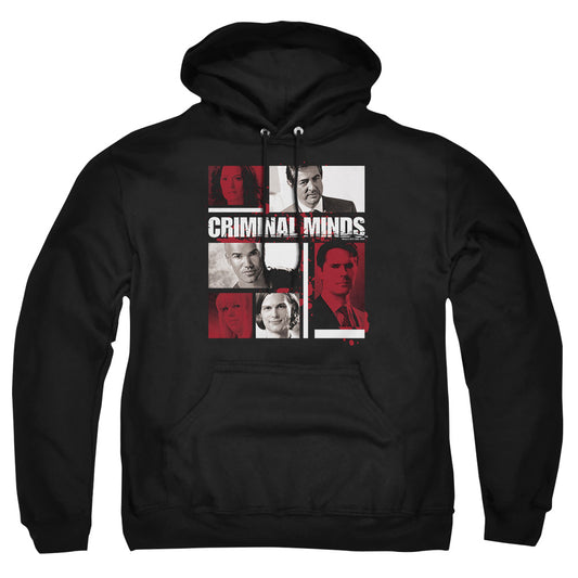 CRIMINAL MINDS/CHARACTER BOXES